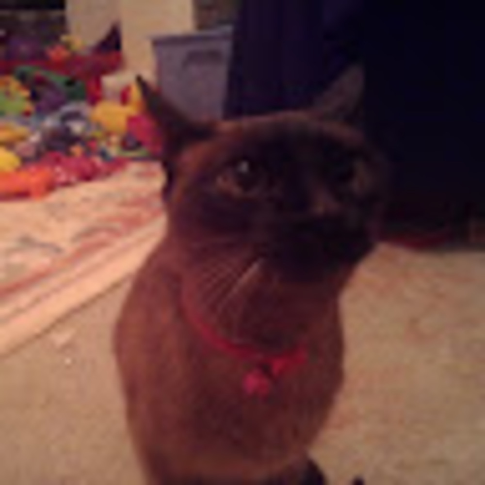 Meet your Posher, Lm